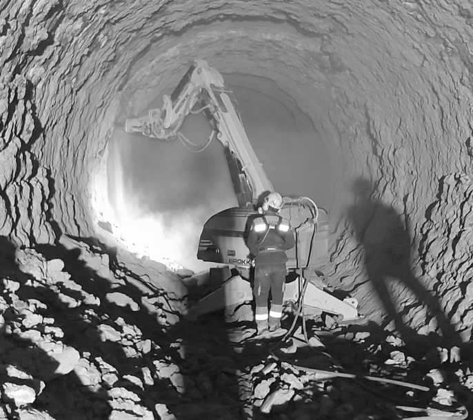 ROBOTIC DEMOLITION SERVICE